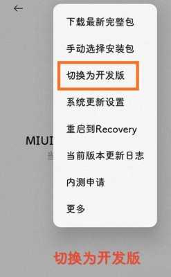 小米cc9e怎么更新miui11?(小米cc9e怎么更新miui13)