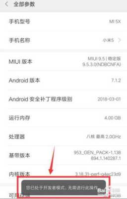 小米4c怎么打开（小米4c怎么打开开发者选项）