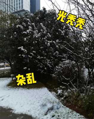 华为手机拍雪景怎么调（华为手机专业拍雪景使用方法）