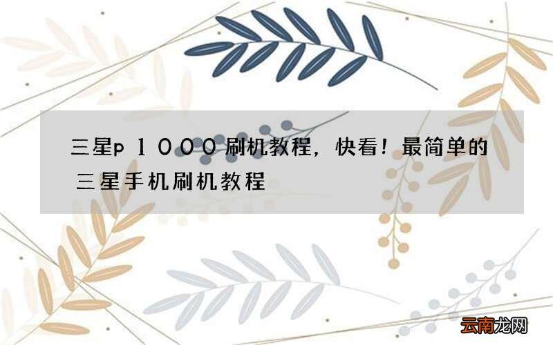 三星p1000怎么进刷机（三星p1000刷444教程）