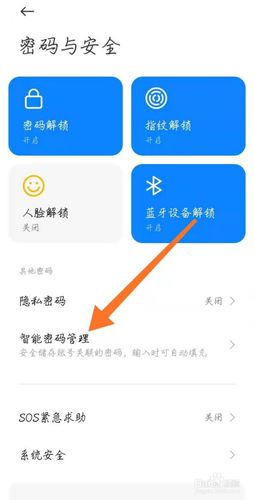 小米1怎么设置密码（小米怎么设置密码自动填充）