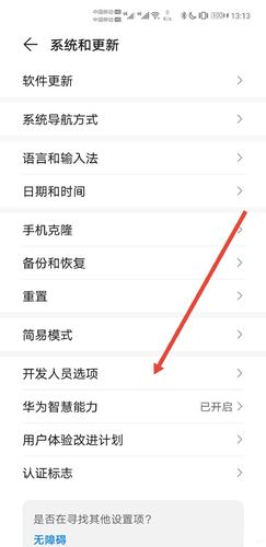 华为开发选项怎么设置（华为开发选项如何设置）
