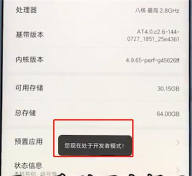 小米开发者模式怎么玩（小米开发者模式在那）