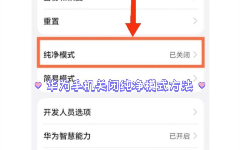 怎么取消华为p10hd（怎么取消华为纯净模式）